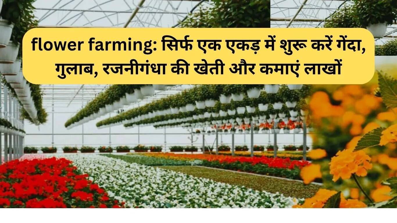 फूलों की खेती: एक एकड़ में गेंदा, गुलाब और रजनीगंधा उगाकर कमाएं लाखों