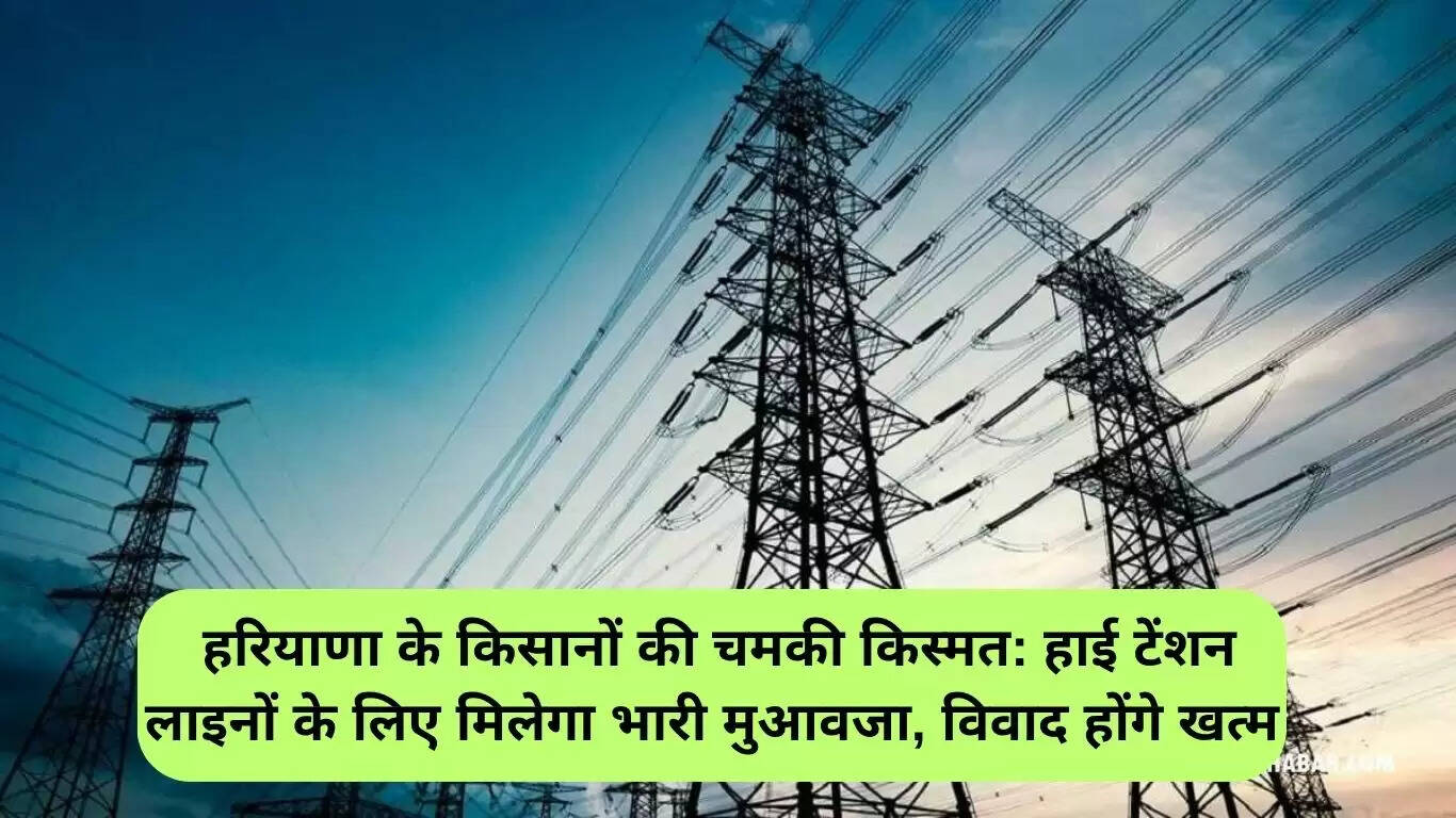 हरियाणा के किसानों के लिए नई मुआवजा नीति: बिजली लाइनों के लिए मिलेगा बड़ा मुआवजा
