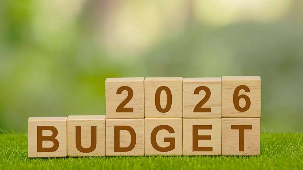 क्या इस बार बजट में इनकम टैक्स में मिलेगी राहत? जानें विशेषज्ञों की राय