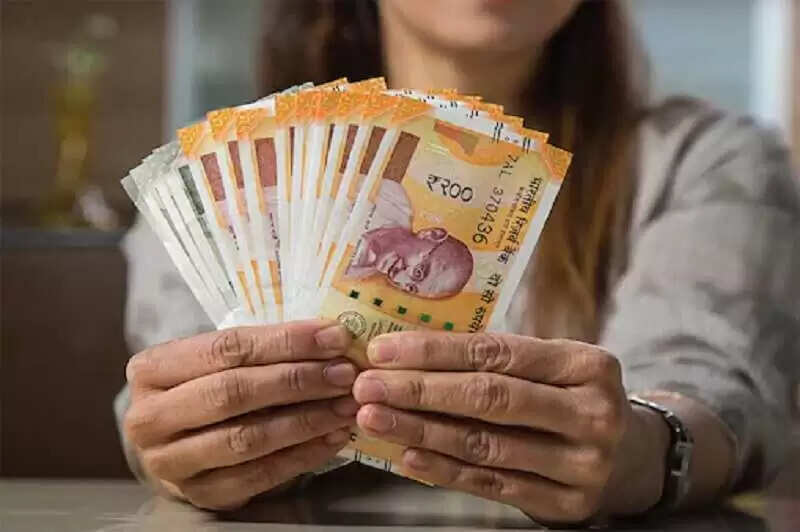 खीरे की खेती: नया बिजनेस शुरू करने का सुनहरा मौका