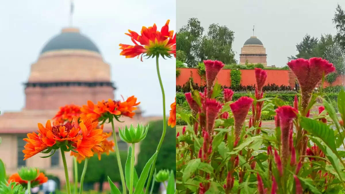 अमृत उद्यान: 16 अगस्त से खुलने जा रहा है, जानें सभी विवरण