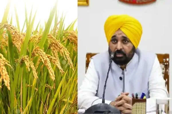 पंजाब सरकार का किसानों के लिए बड़ा कदम: धान की खरीद में तेजी