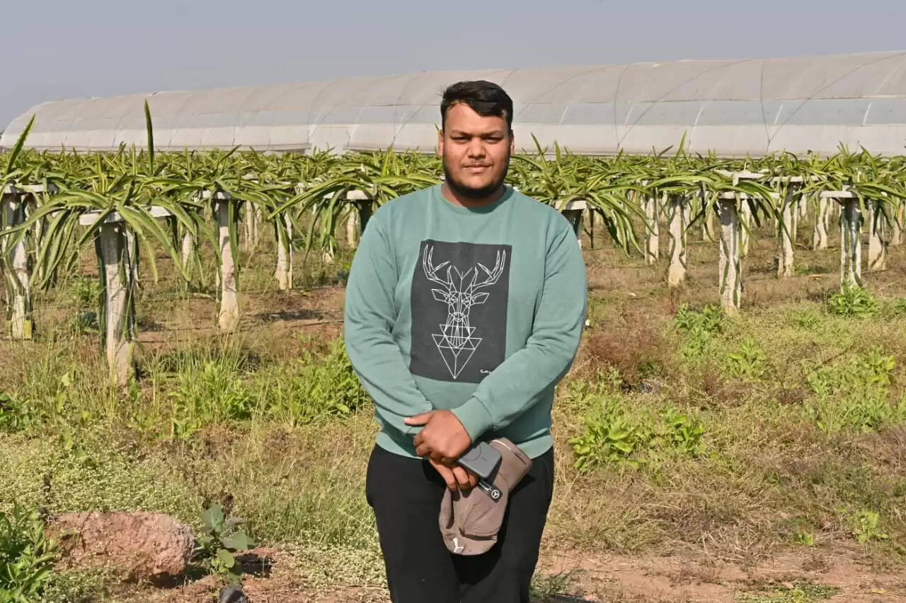 धमतरी:पारंपरिक खेती को छोड़ ड्रेगन फ्रूट की खेती कर रहा किसान