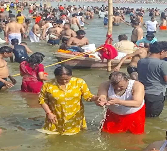 संगम का जल शुद्ध, स्नान व आचमन के योग्य :प्रो आद्या प्रसाद पाण्डेय