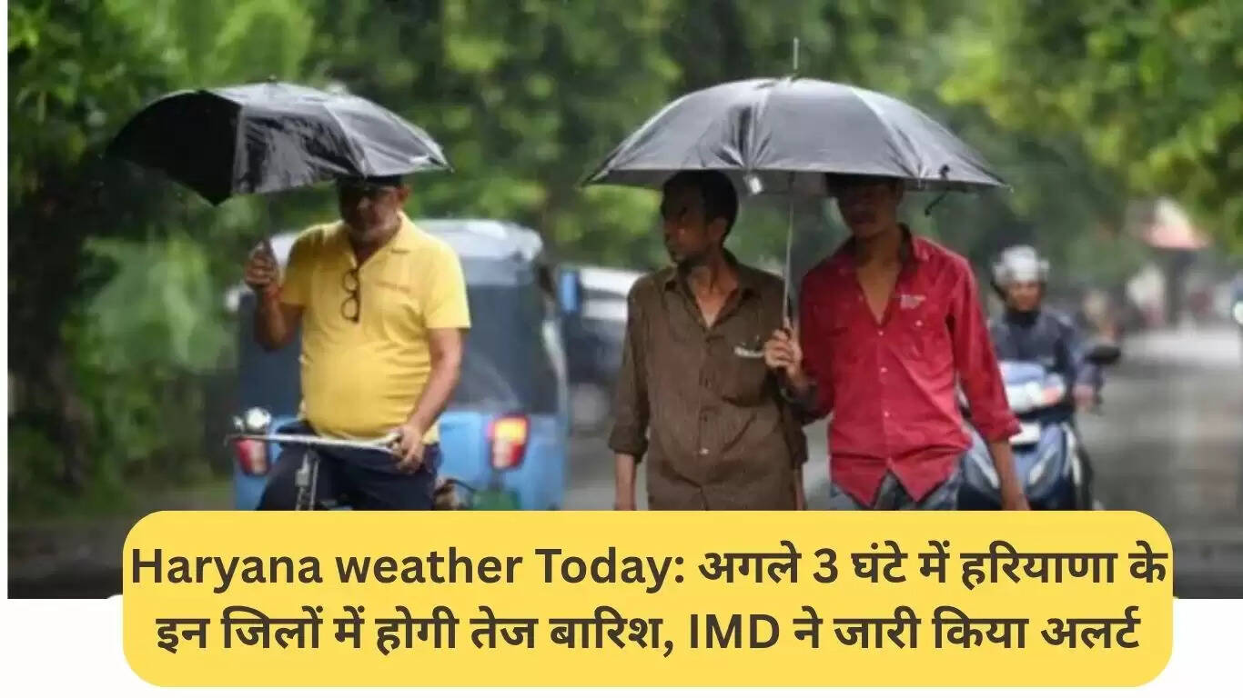 हरियाणा में अगले 3 घंटे में भारी बारिश का अलर्ट जारी
