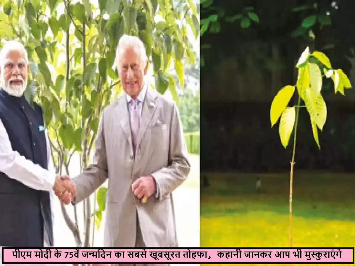 पीएम मोदी ने किंग चार्ल्स से मिले पौधे को अपने घर में लगाया
