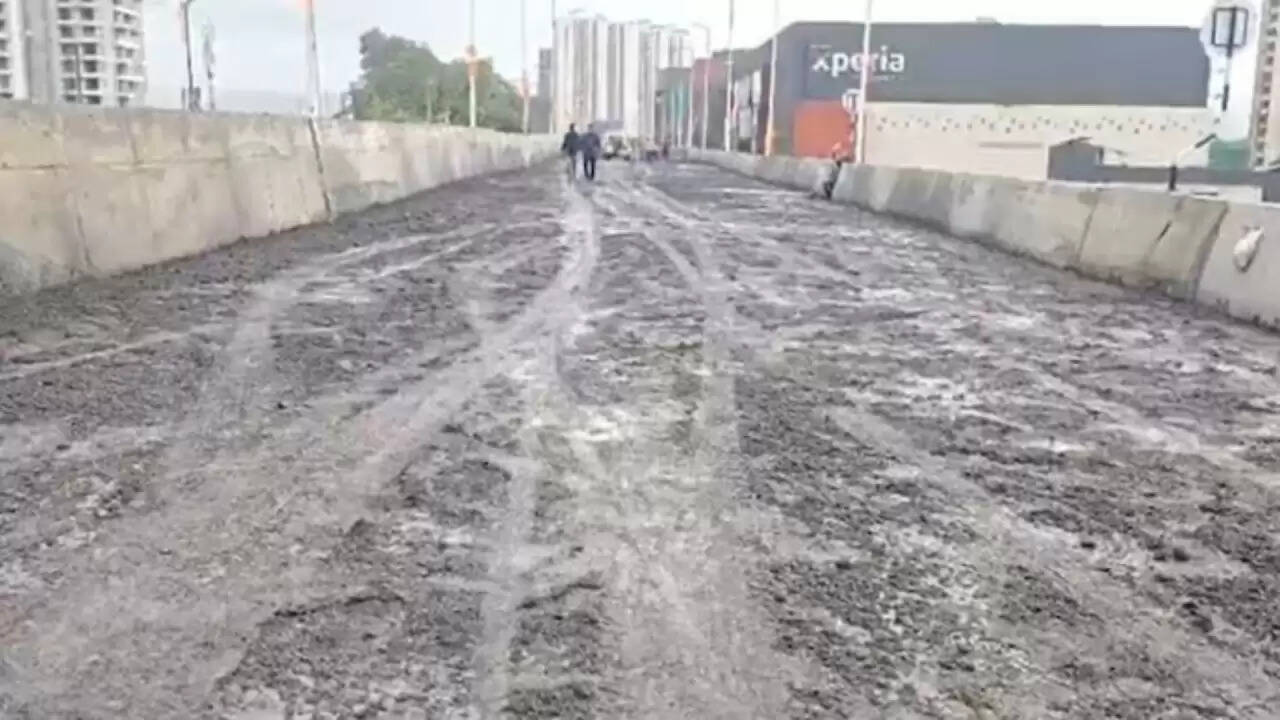 पलावा ब्रिज का उद्घाटन: क्या है इसकी असली कहानी?