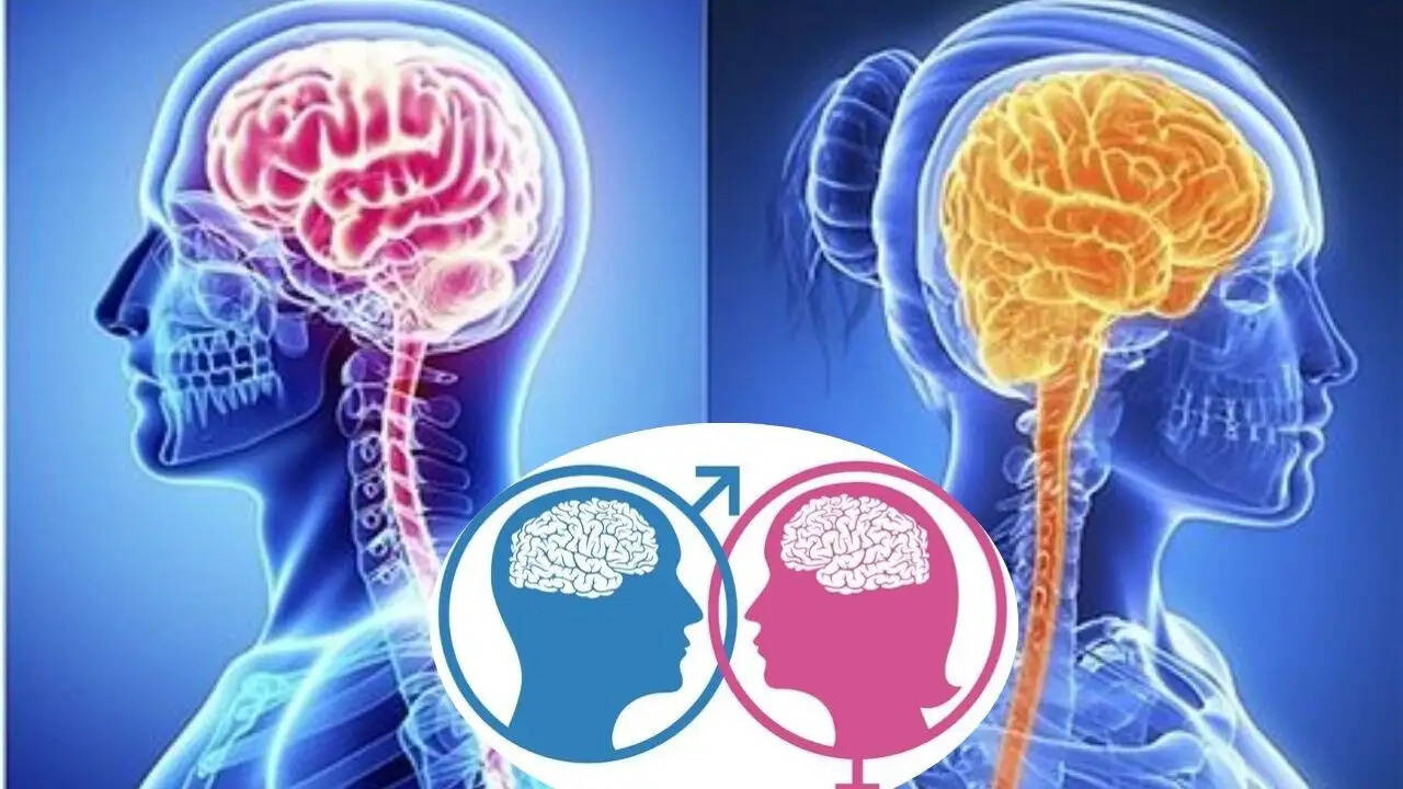 लड़कों और लड़कियों के दिमाग में अंतर: एक वैज्ञानिक दृष्टिकोण