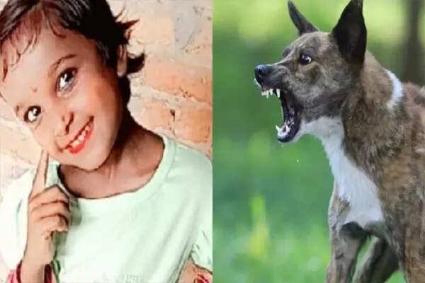 संभल में आवारा कुत्तों के हमले में 9 वर्षीय बच्ची की मौत