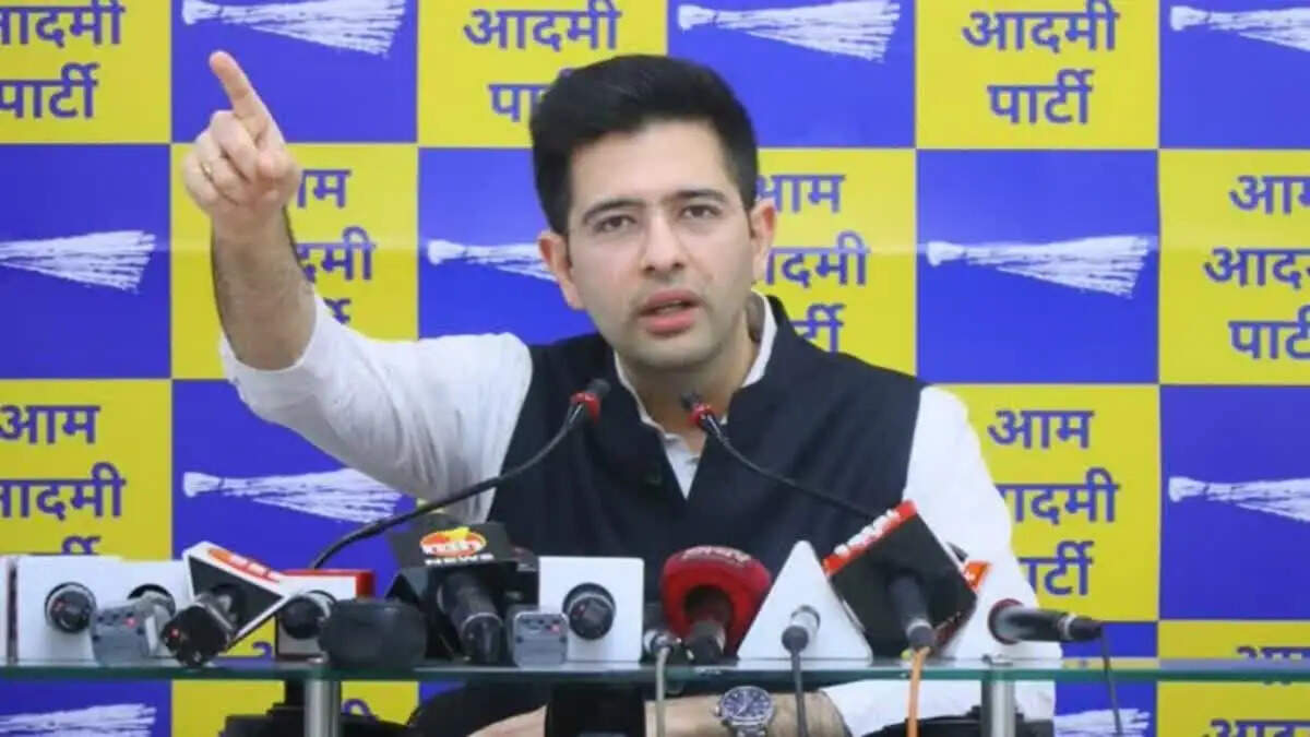 राघव चड्ढा का आरोपों पर सख्त जवाब: 'हर झूठ का खुलासा करूंगा'