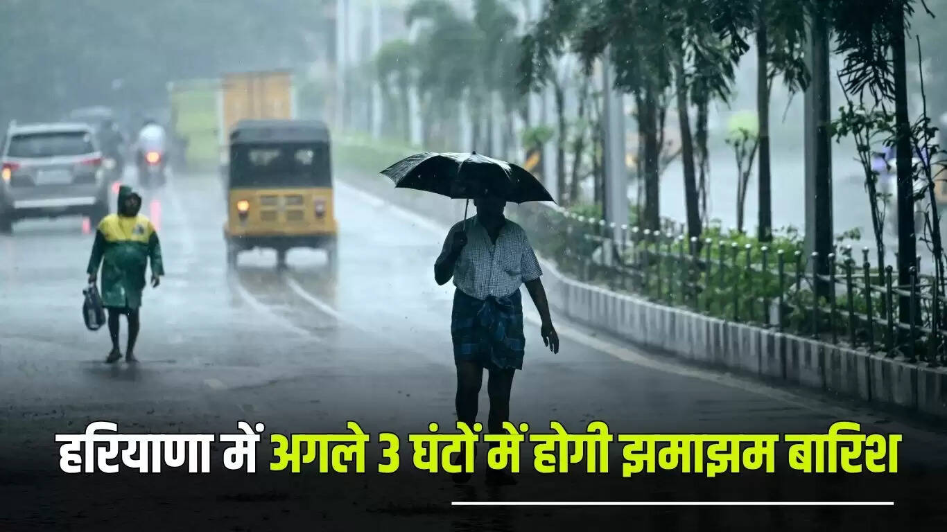 हरियाणा में बारिश का अलर्ट: अगले 3 घंटे में होगी झमाझम बारिश