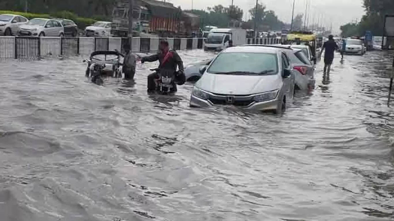 हरियाणा में मानसून का रिकॉर्ड तोड़ असर: बारिश और फसलों पर प्रभाव