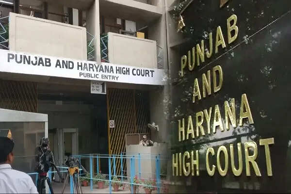 पंजाब-हरियाणा हाई कोर्ट का महत्वपूर्ण निर्णय: साथी की गोली से मौत पर भी मिलेगा शहीद का दर्जा