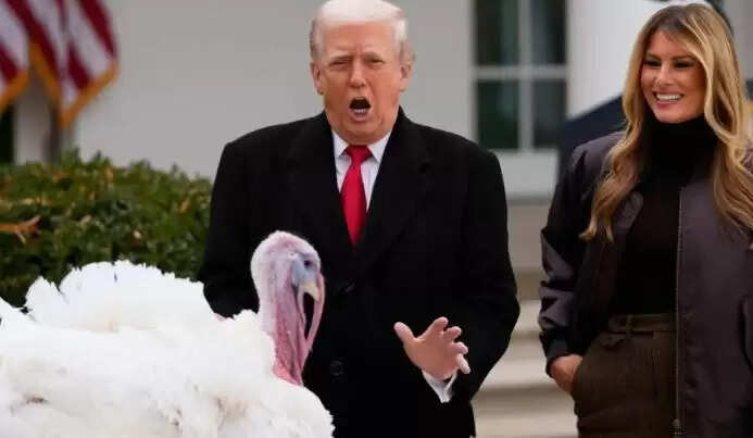 डोनाल्ड ट्रंप ने थैंक्सगिविंग पर दो टर्कियों को दी माफी