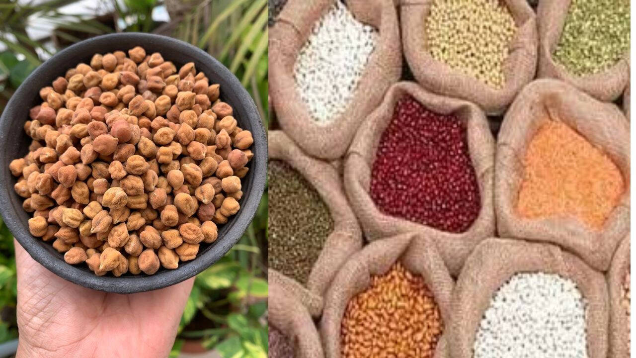 दाल बनाम चना: कौन सा प्रोटीन स्रोत है आपके लिए बेहतर?