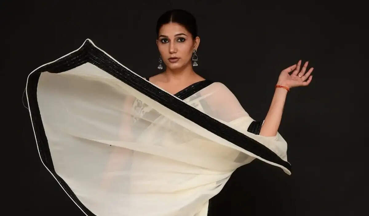 सपना चौधरी ने कोर्ट केस के बीच सोशल मीडिया पर किया डांस, दी नेगेटिविटी को जवाब