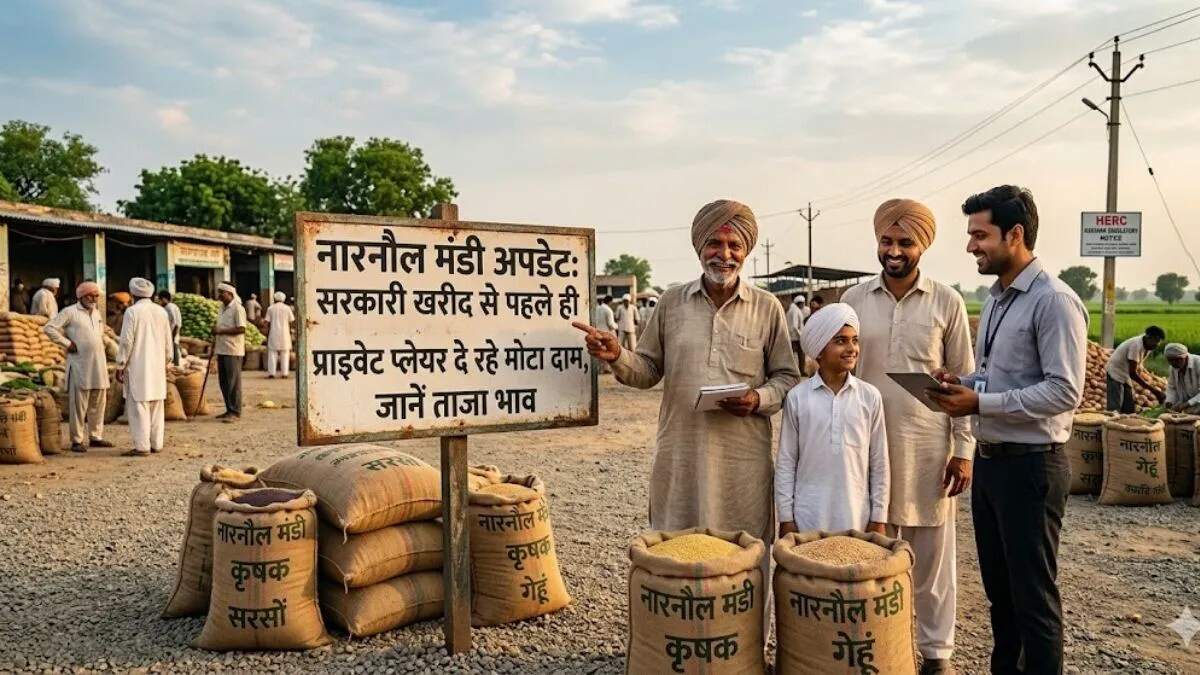 महेंद्रगढ़ में सरसों की फसल से किसानों की खुशहाली