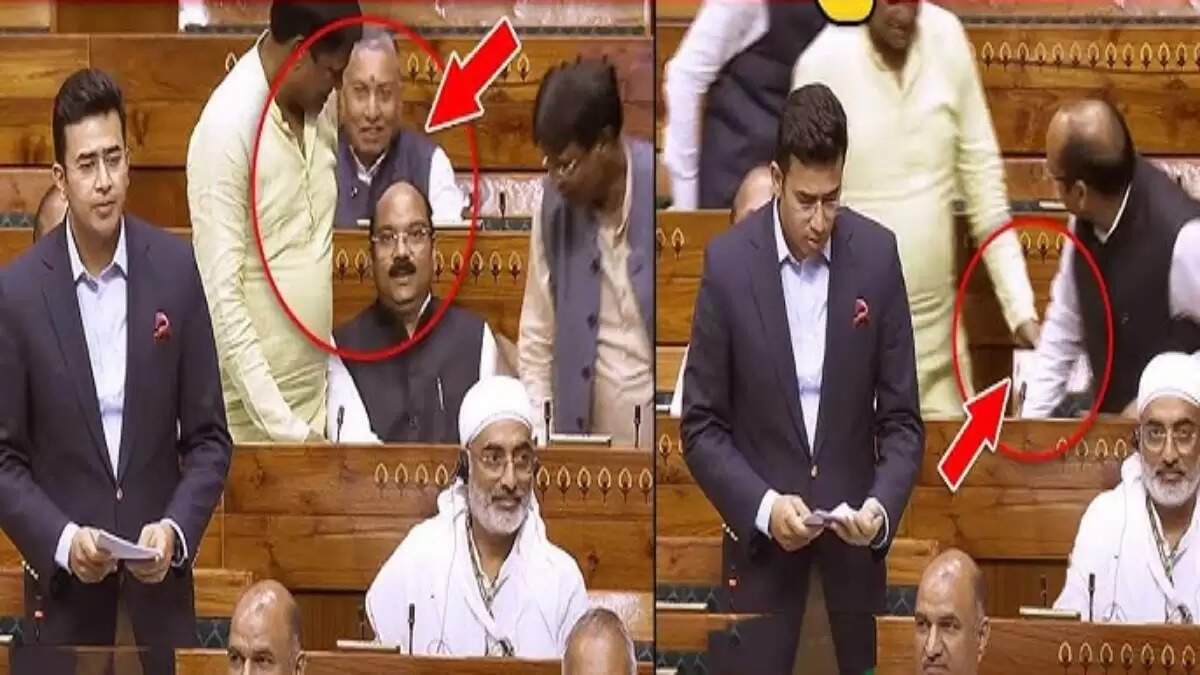 संसद में BJP सांसदों के बीच अनोखी झड़प का वीडियो वायरल