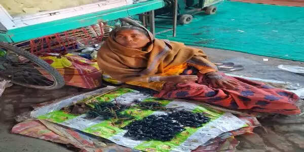 सोनपुर मेला के मिट्टी की सीटी और घिरनी में गूंजती परंपरा की धुन