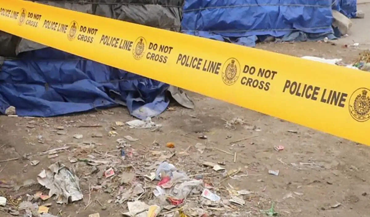 ओहायो में भारतीय नागरिक पर गर्भवती साथी और बच्चे की मौत का आरोप