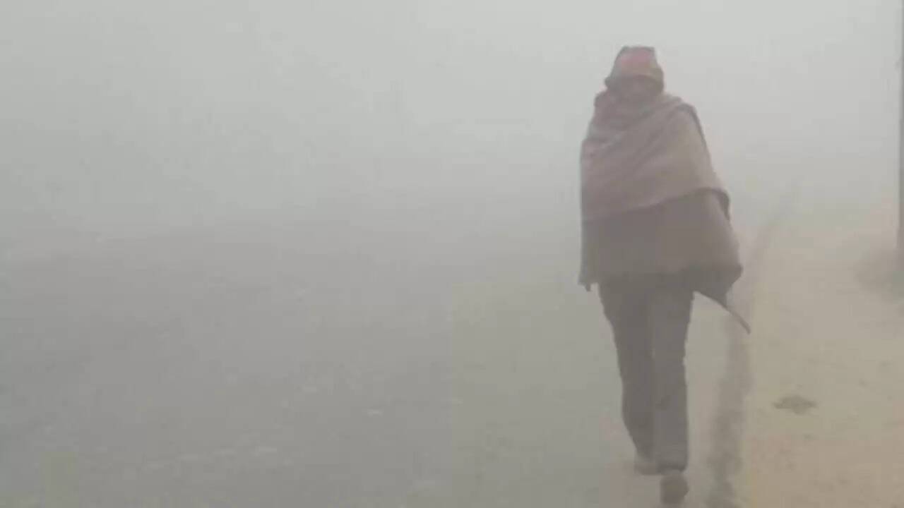 उत्तर भारत में सर्दी का असर कम, लेकिन कोहरे से रहें सावधान!