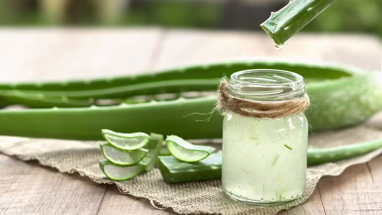 त्वचा की देखभाल के लिए ऐलोवेरा आइस क्यूब का उपयोग कैसे करें