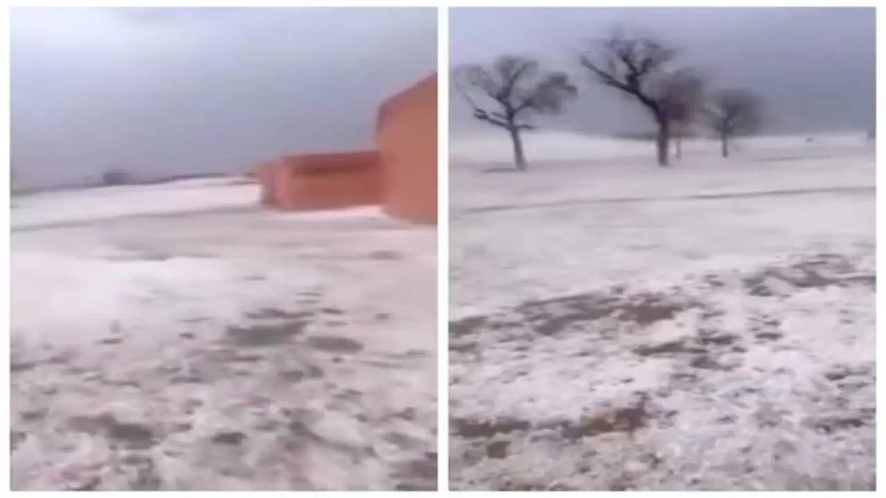 बीकानेर में ओलावृष्टि का अनोखा नजारा: बर्फीले पहाड़ों जैसा दृश्य