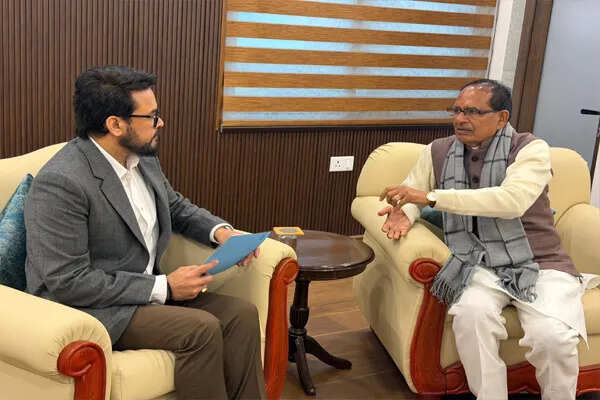 अनुराग ठाकुर ने पीएमजीएसवाई के तहत हिमाचल में सड़कों की मांग की