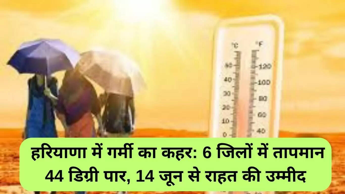 हरियाणा में गर्मी का कहर: तापमान 44 डिग्री पार, राहत की उम्मीद 14 जून से