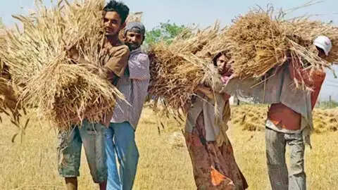 प्रधानमंत्री श्रम योगी मानधन योजना: असंगठित क्षेत्र के श्रमिकों के लिए आर्थिक सुरक्षा