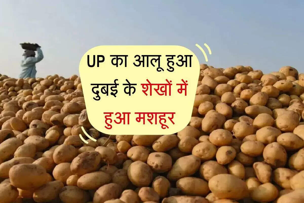 उत्तर प्रदेश का आलू: अंतरराष्ट्रीय बाजार में बढ़ती मांग