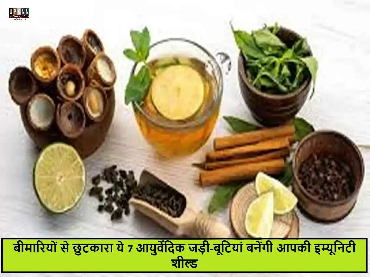मॉनसून में स्वास्थ्य को बनाए रखने के लिए आयुर्वेदिक जड़ी-बूटियाँ