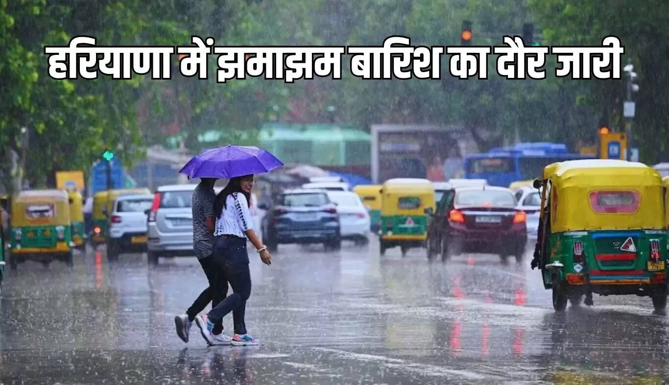 हरियाणा में मानसून की बारिश, 16 जिलों में येलो अलर्ट