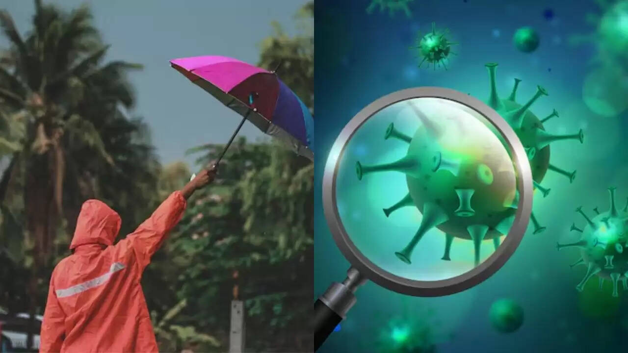 मानसून में अस्थमा और अन्य बीमारियों से बचने के उपाय