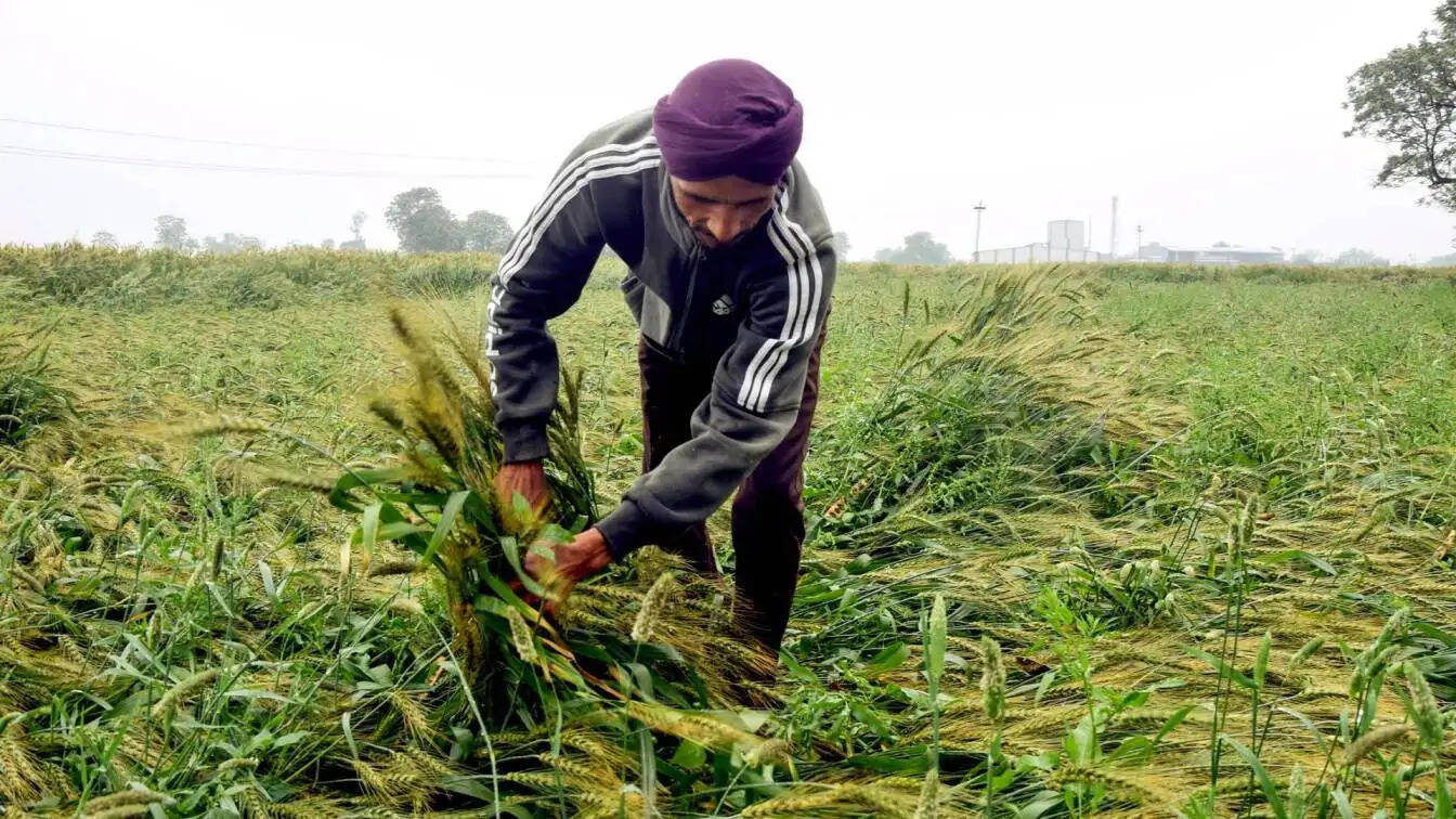 भारत में मौसम परिवर्तन: बारिश और आंधी का अलर्ट