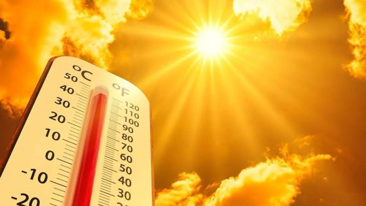 हरियाणा में मौसम का हाल: ठंड और धूप का खेल