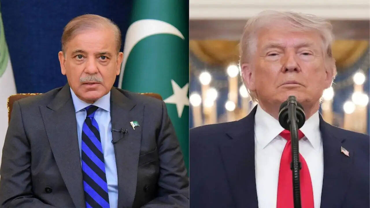 शहबाज शरीफ का विवादित पोस्ट: क्या यह बाहरी हस्तक्षेप का नतीजा है?