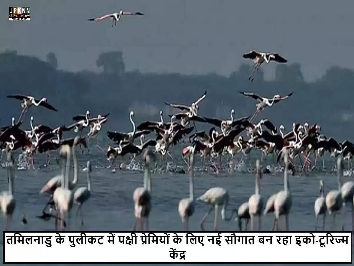 तमिलनाडु में नया इको-टूरिज्म स्थल: पुलिकट झील का पक्षी अवलोकन केंद्र