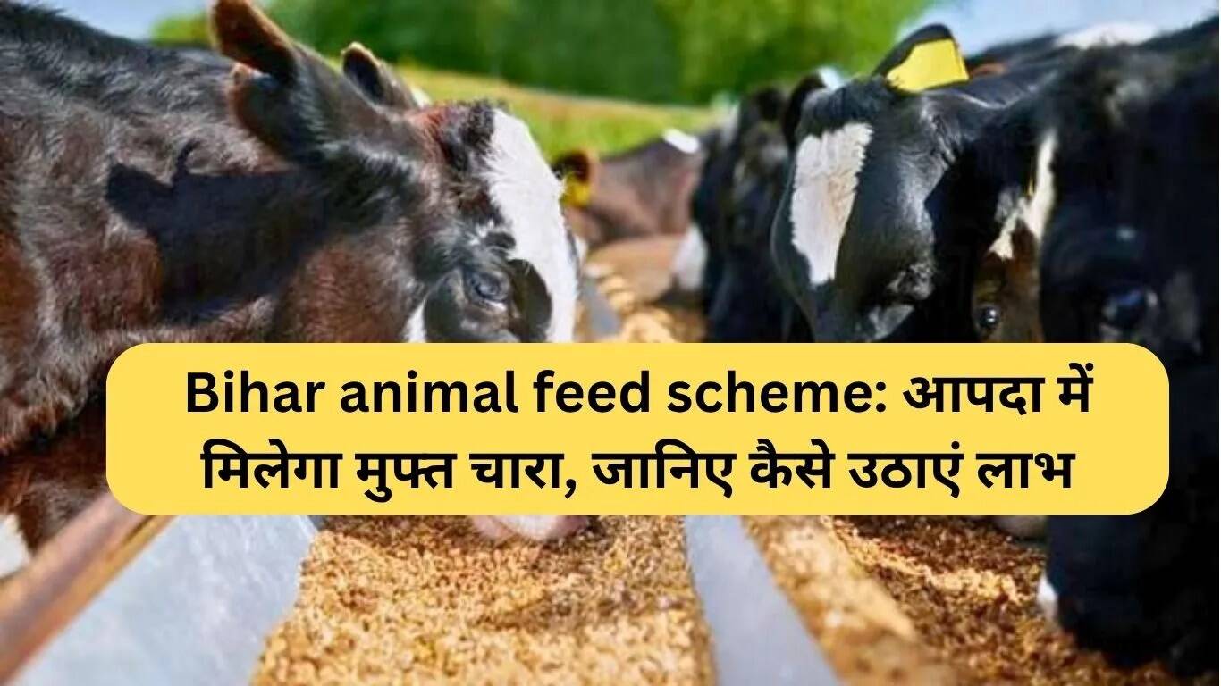 बिहार पशु चारा वितरण योजना: आपदा में मुफ्त चारा कैसे प्राप्त करें