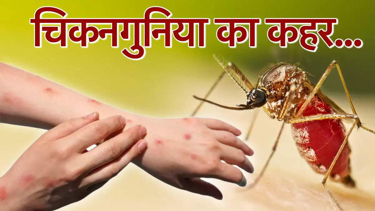 चीन में चिकनगुनिया का प्रकोप: 7000 नए मामले सामने आए