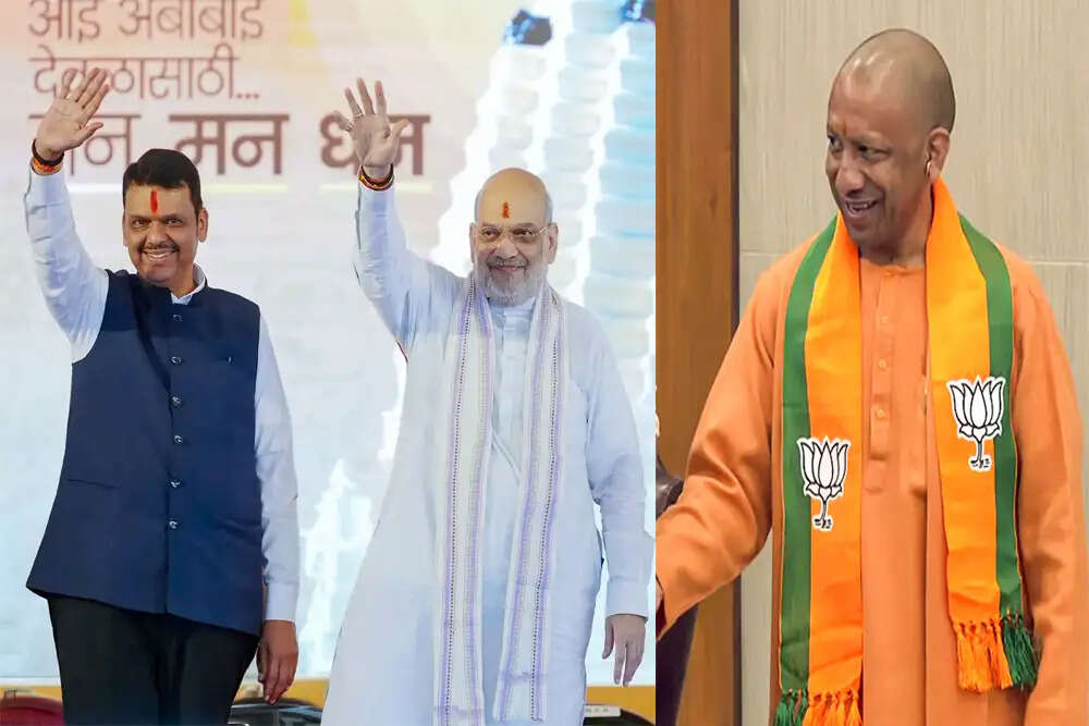 भाजपा संसदीय बोर्ड में नए चेहरों की संभावनाएं