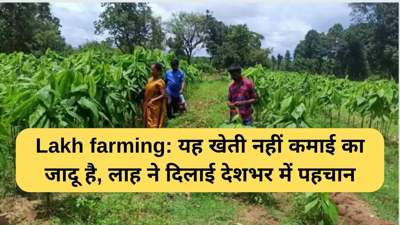 लाह की खेती: संसाधनों की कमी के बावजूद करोड़ों की कमाई