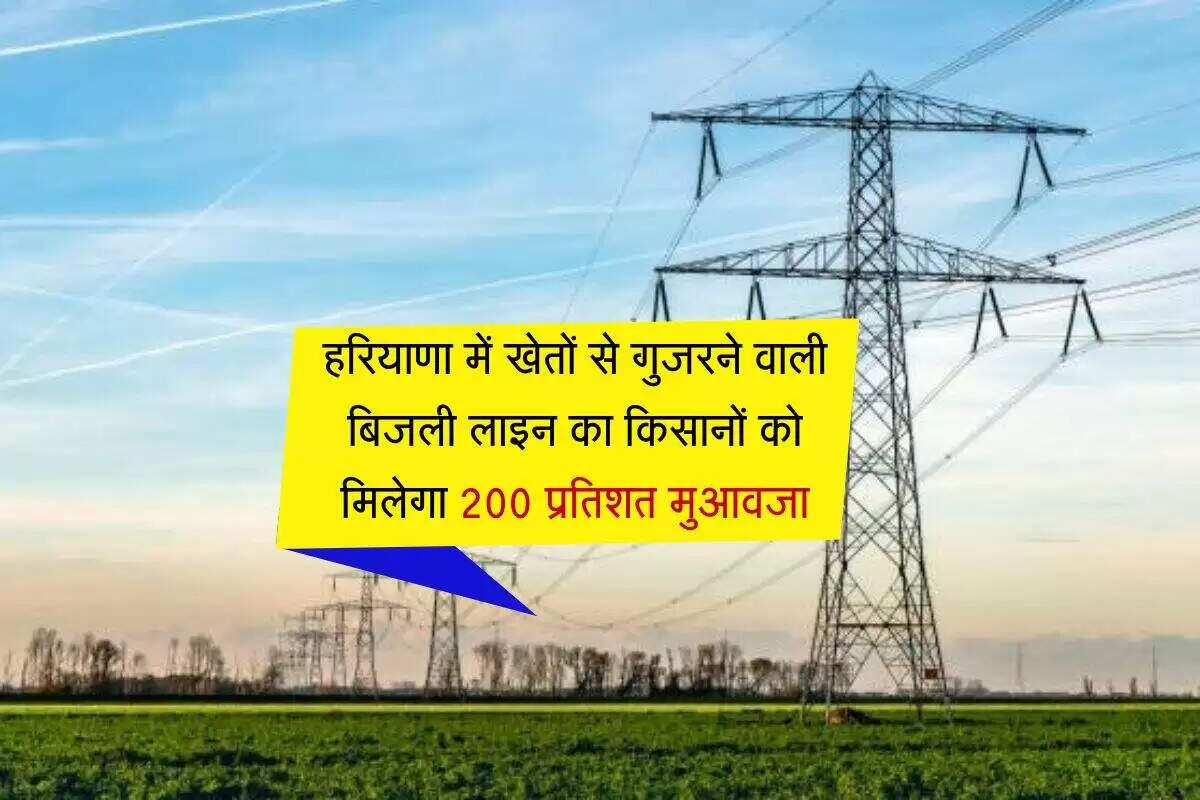 हरियाणा में किसानों के लिए मुआवजे की नई नीति: हाई टेंशन बिजली लाइनों पर राहत