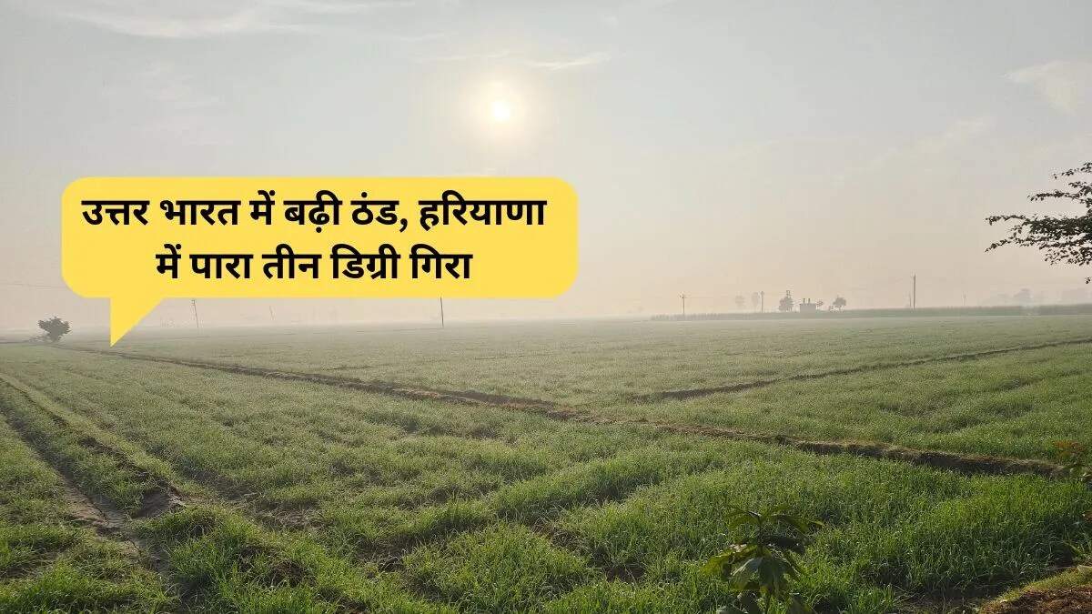 उत्तर भारत में ठंड का बढ़ता प्रभाव: मौसम की ताजा जानकारी