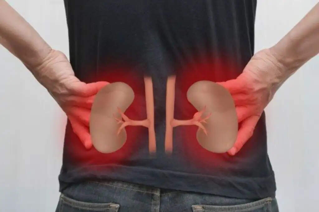 किडनी स्वास्थ्य: जानें इसके छिपे खतरे और बचाव के उपाय