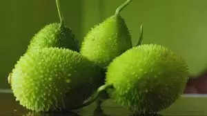 मशरूम: एक शक्तिशाली शाकाहारी विकल्प और इसके स्वास्थ्य लाभ