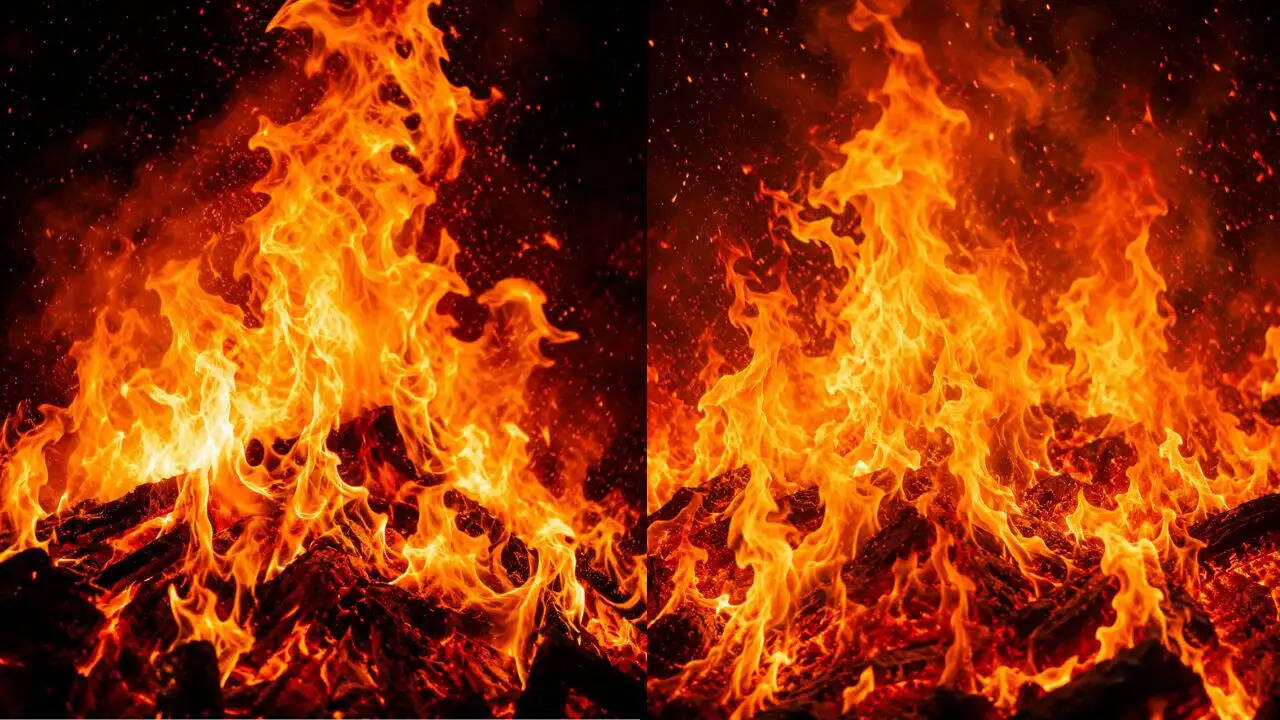 राजगढ़ में पेट्रोल पंप पर भीषण आग: 13 लोग झुलसे, जानें क्या हुआ