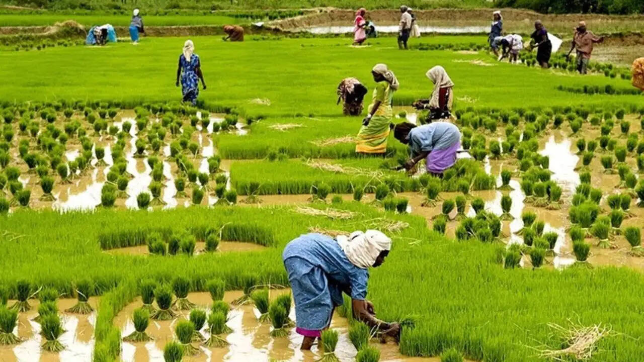 इस साल मानसून की बारिश में कमी की आशंका, किसानों के लिए चिंता का विषय
