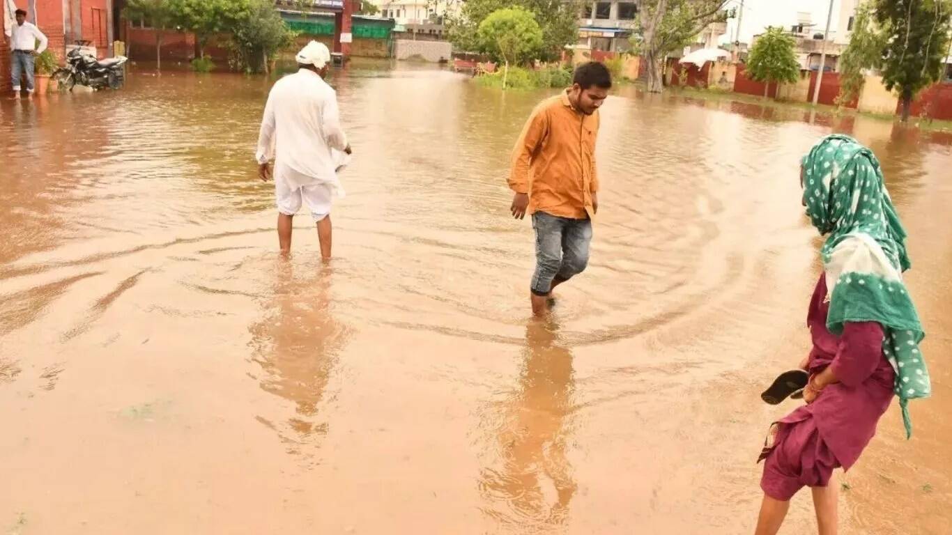 हिसार में बारिश से तबाही: गांवों में जलभराव और फसलें बर्बाद