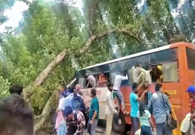 बाराबंकी में बस पर पेड़ गिरने से पांच की मौत, कई घायल
